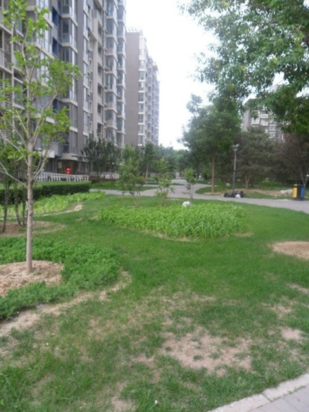 北京国风北京图片