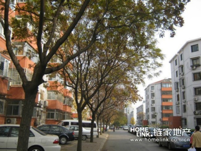 北京上地东里图片