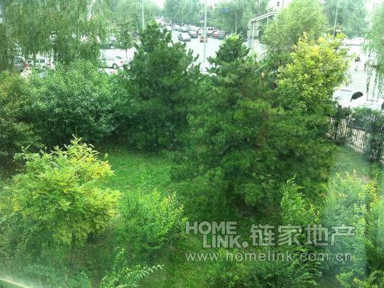 北京世纪城三期图片