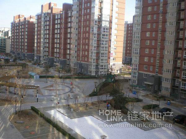 北京新城阳光图片