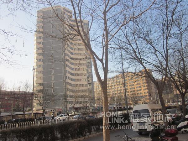 北京芍药居北里图片