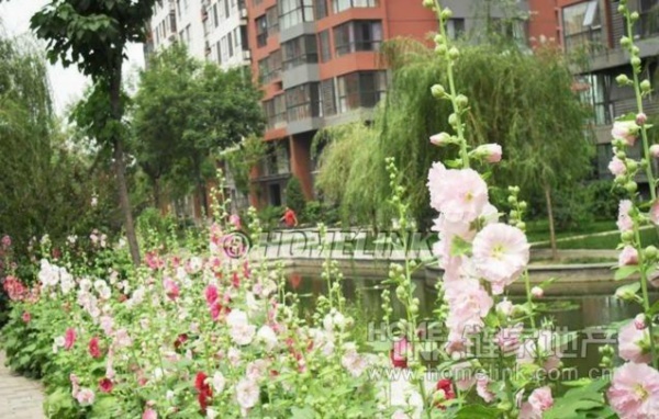 北京顺驰蓝调国际图片