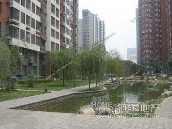 北京顺驰蓝调国际图片