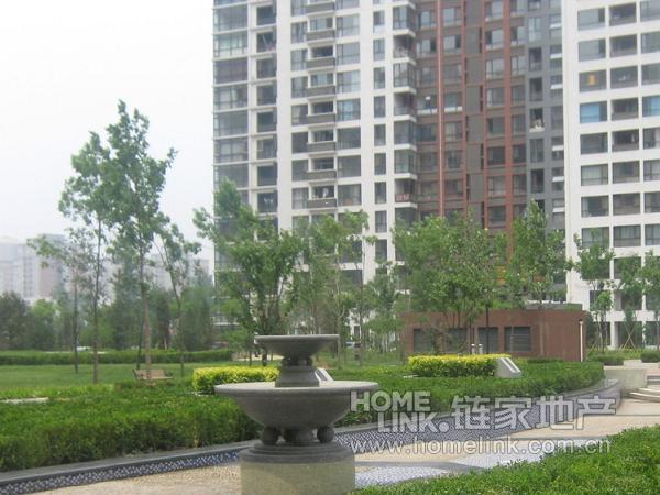 北京顺驰蓝调国际图片