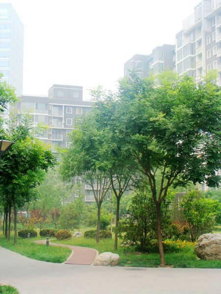 北京国风北京图片