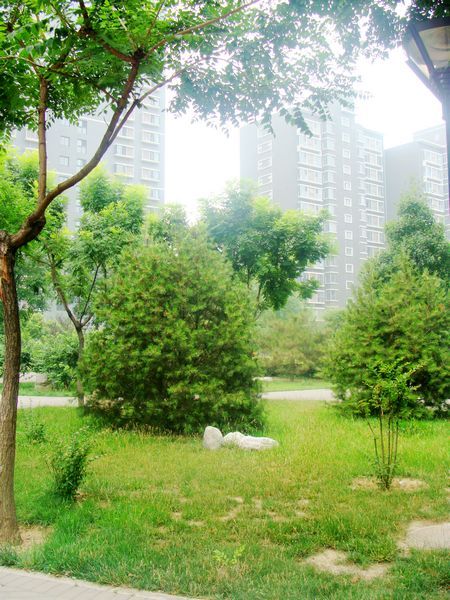 北京国风北京图片