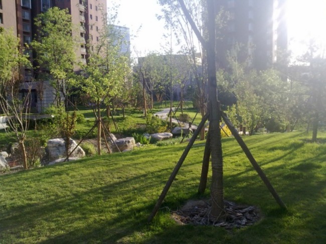 北京融科.橄榄城图片