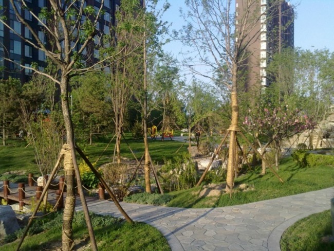 北京融科.橄榄城图片