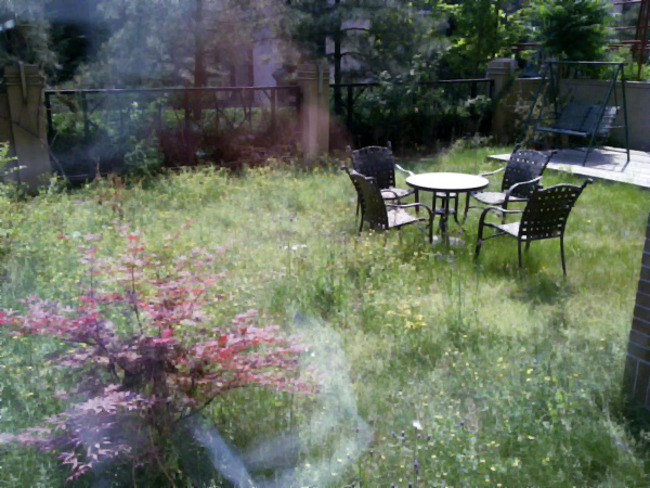 北京逸翠园图片