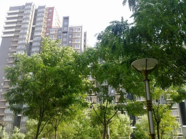 北京远洋山水图片