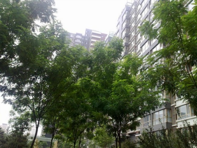 北京远洋山水图片