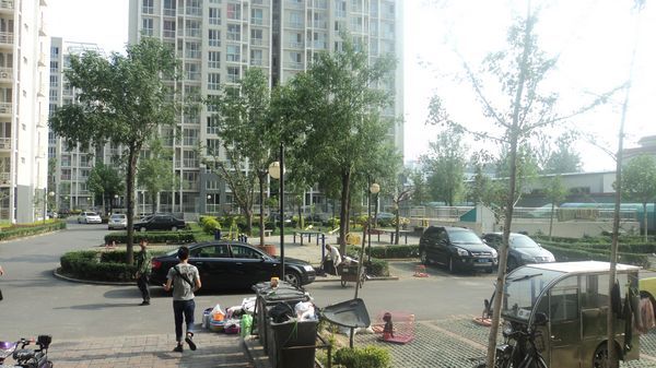 北京新龙城图片