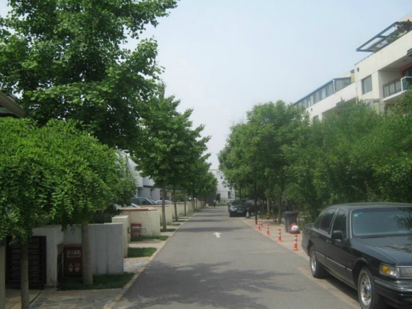 北京万科青青家园图片