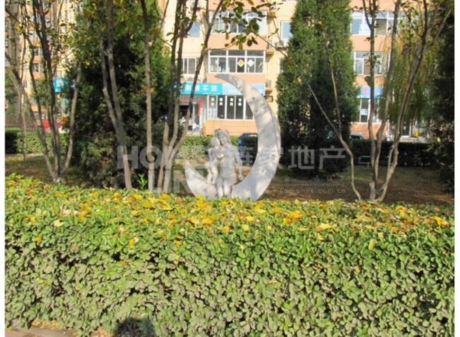 北京北苑家园绣菊园图片