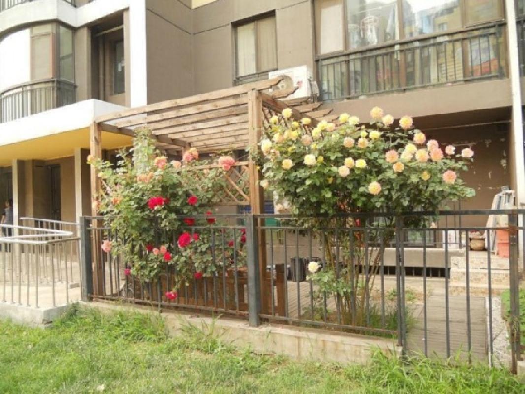 北京慧谷阳光图片