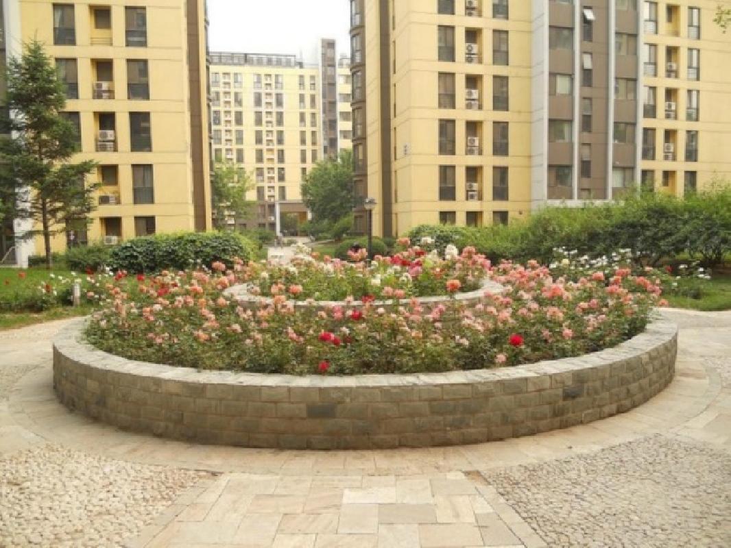 北京慧谷阳光图片