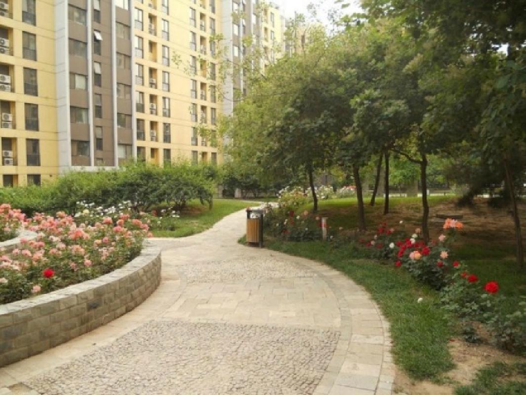 北京慧谷阳光图片