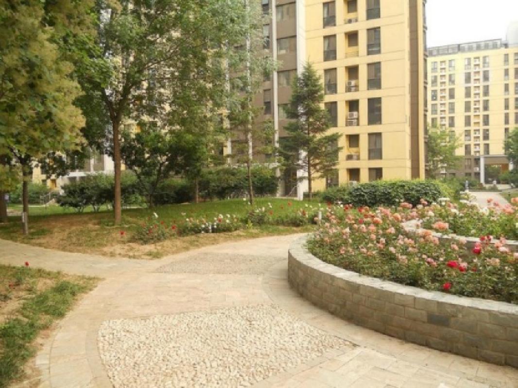 北京慧谷阳光图片