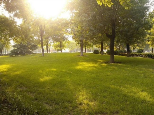 北京世纪城三期图片