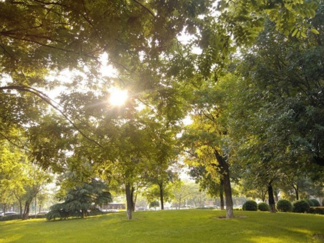 北京世纪城三期图片