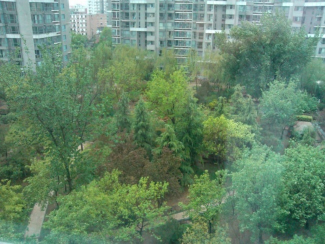 北京富力城B区图片