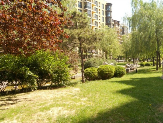 北京慧谷阳光图片