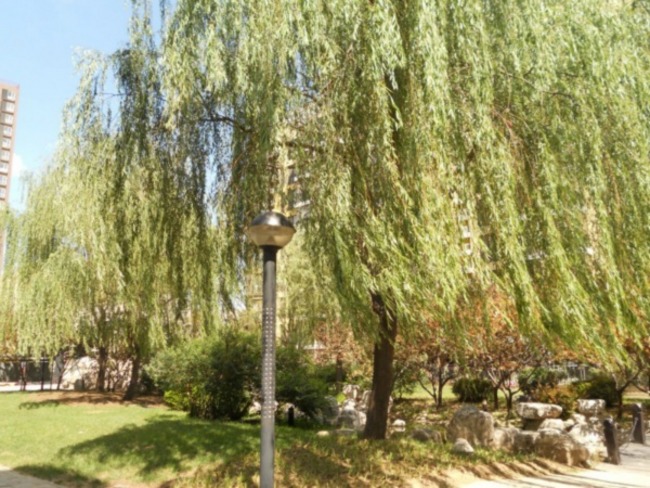 北京慧谷阳光图片