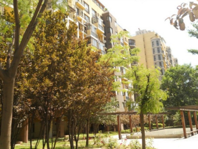 北京慧谷阳光图片