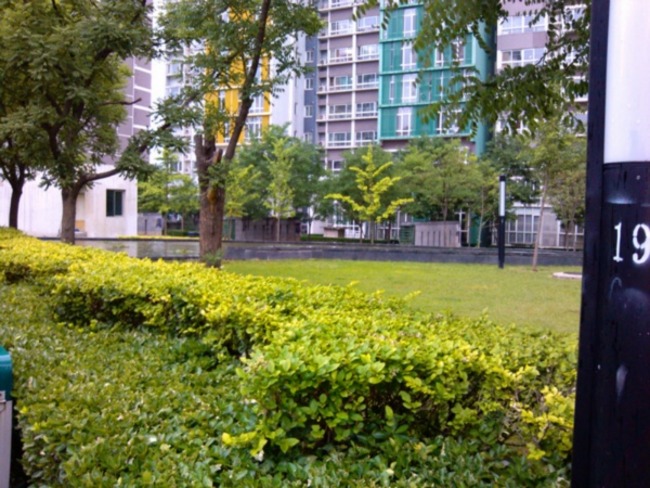 北京宝星国际图片