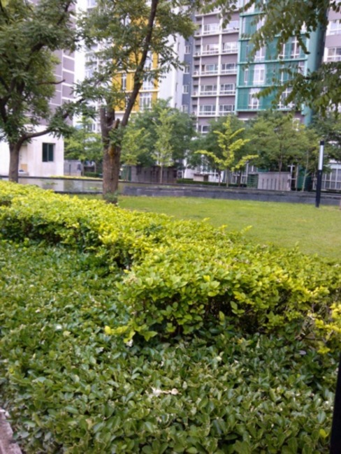 北京宝星国际图片