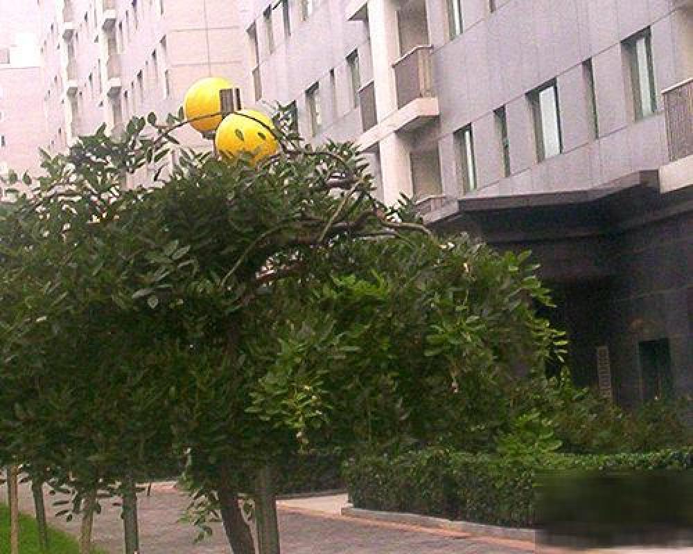 北京乐澜宝邸二手房房源图片