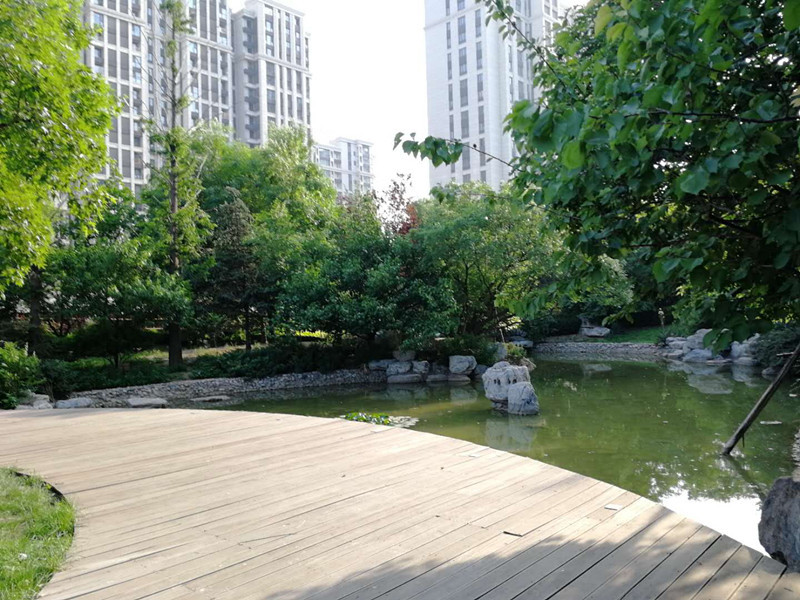 5)阅园 正规一居室精装 南北通透 前后花园