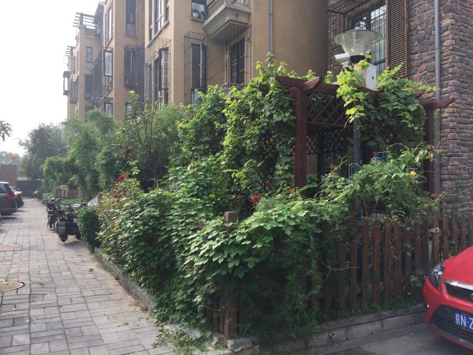 北京碧桐园二手房房源图片