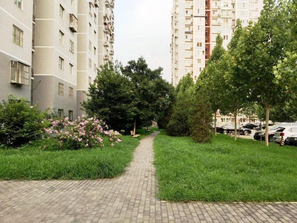 北京常青园北里二手房房源图片