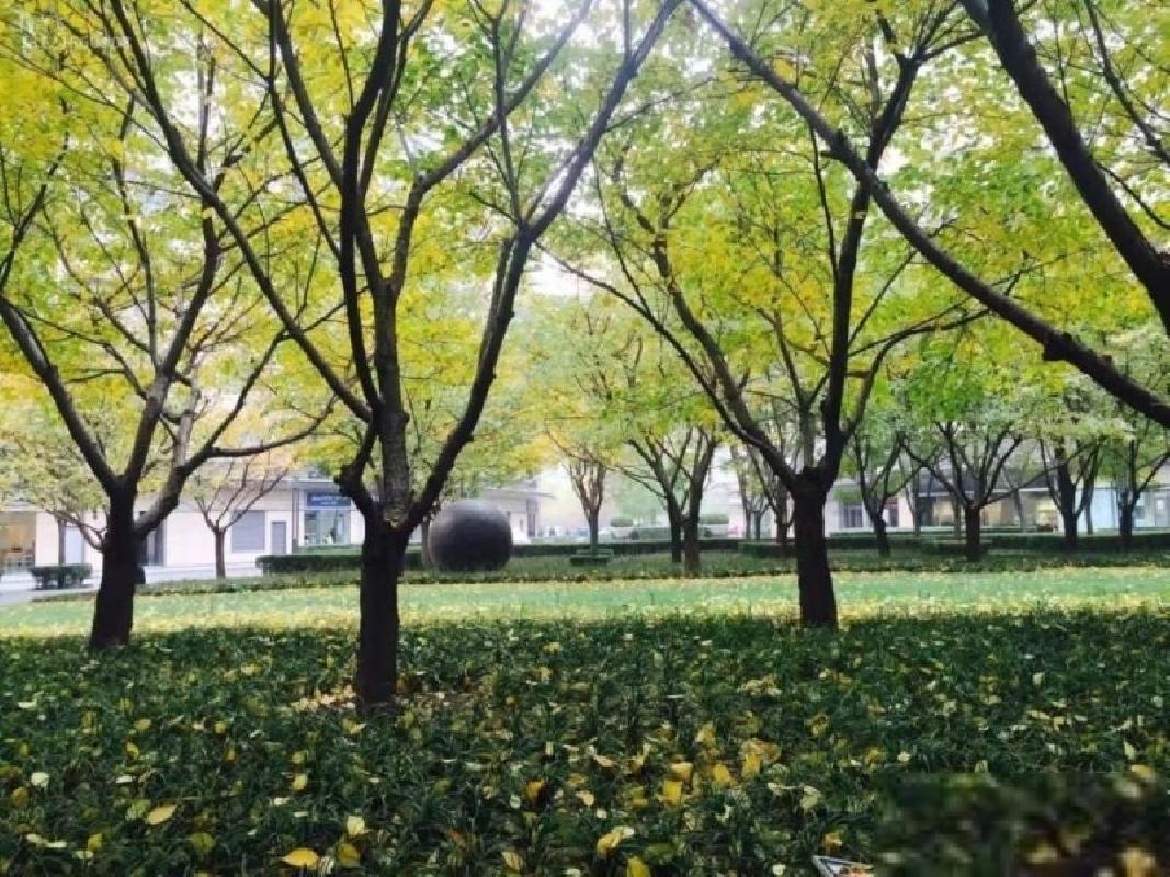 北京新城国际公寓二手房房源图片