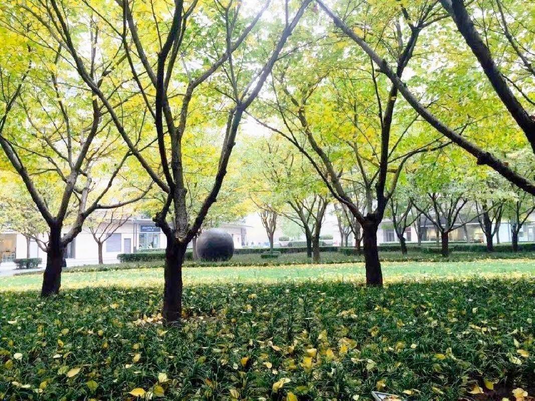 北京新城国际公寓二手房房源图片