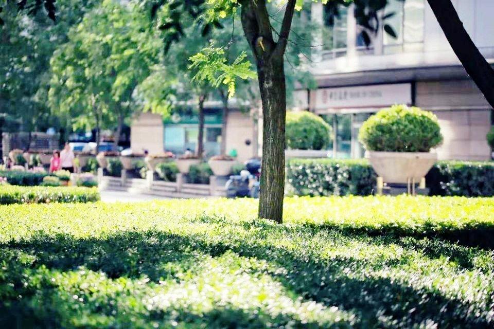 北京新城国际二手房房源图片