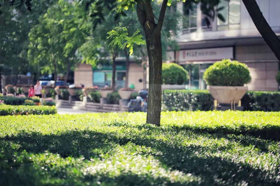 北京新城国际二手房房源图片