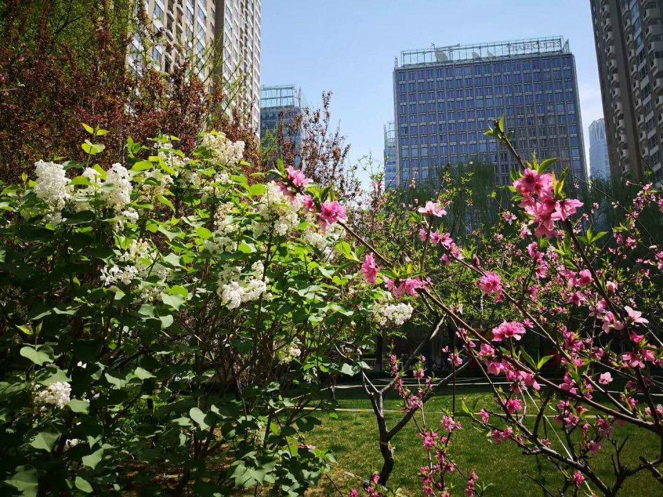 北京世贸国际公寓二手房房源图片