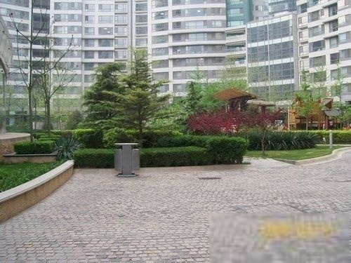 北京新城国际二手房房源图片