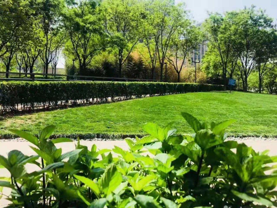 北京新城国际二手房房源图片