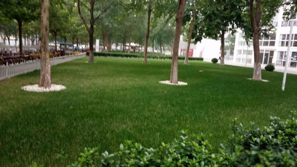 北京建外SOHO西区二手房房源图片