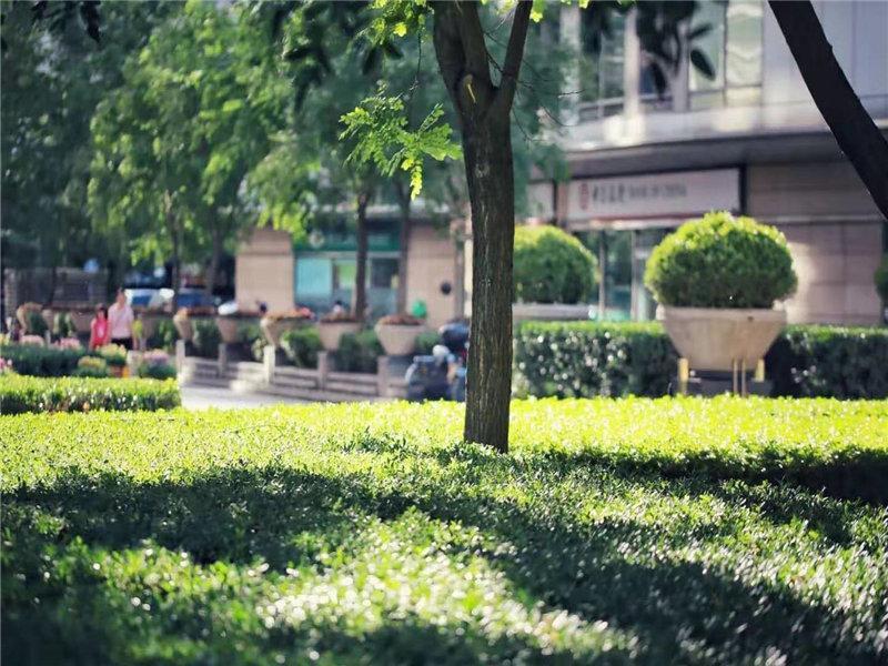 北京新城国际二手房房源图片