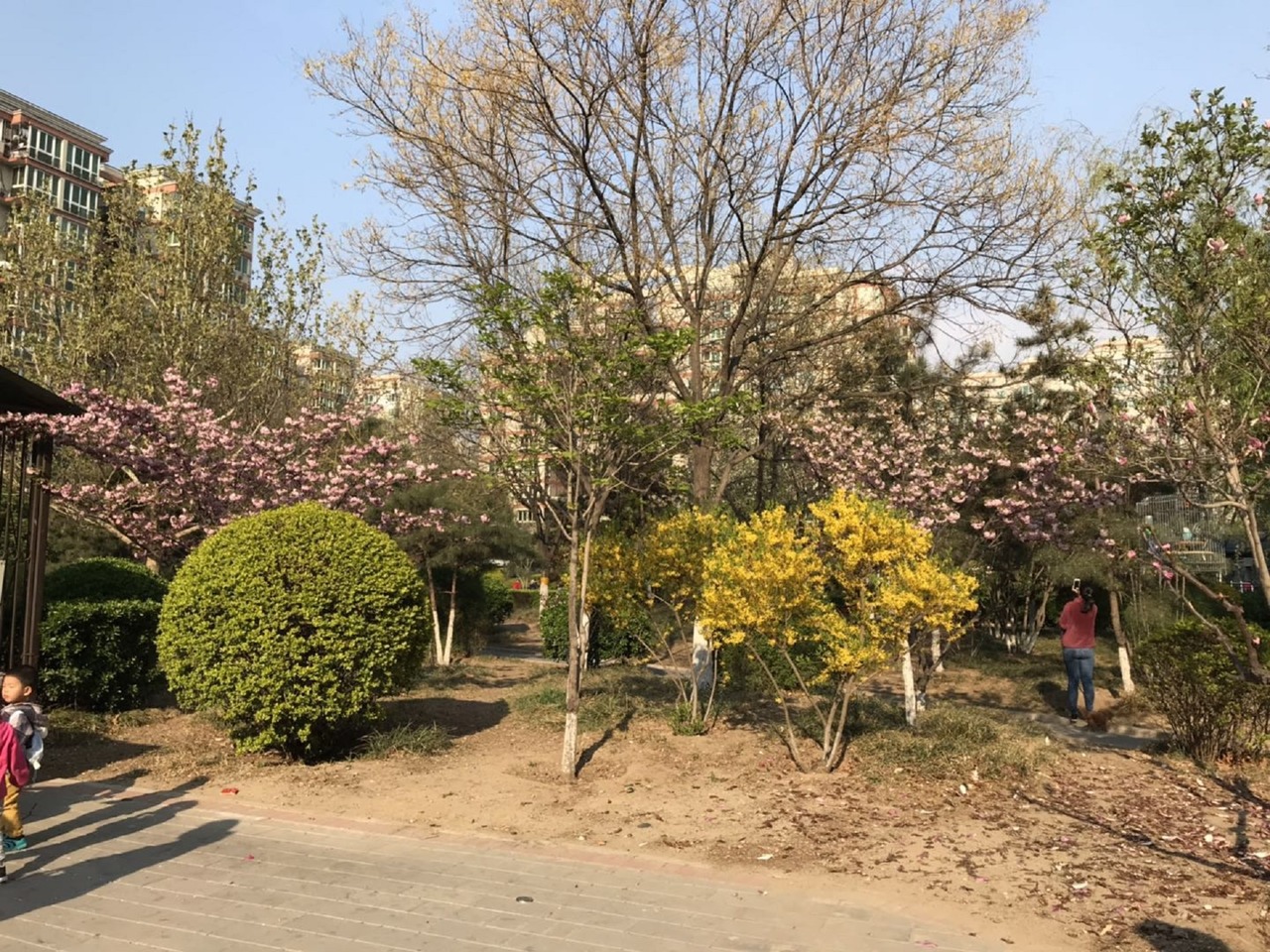 北京烟树园二手房房源图片
