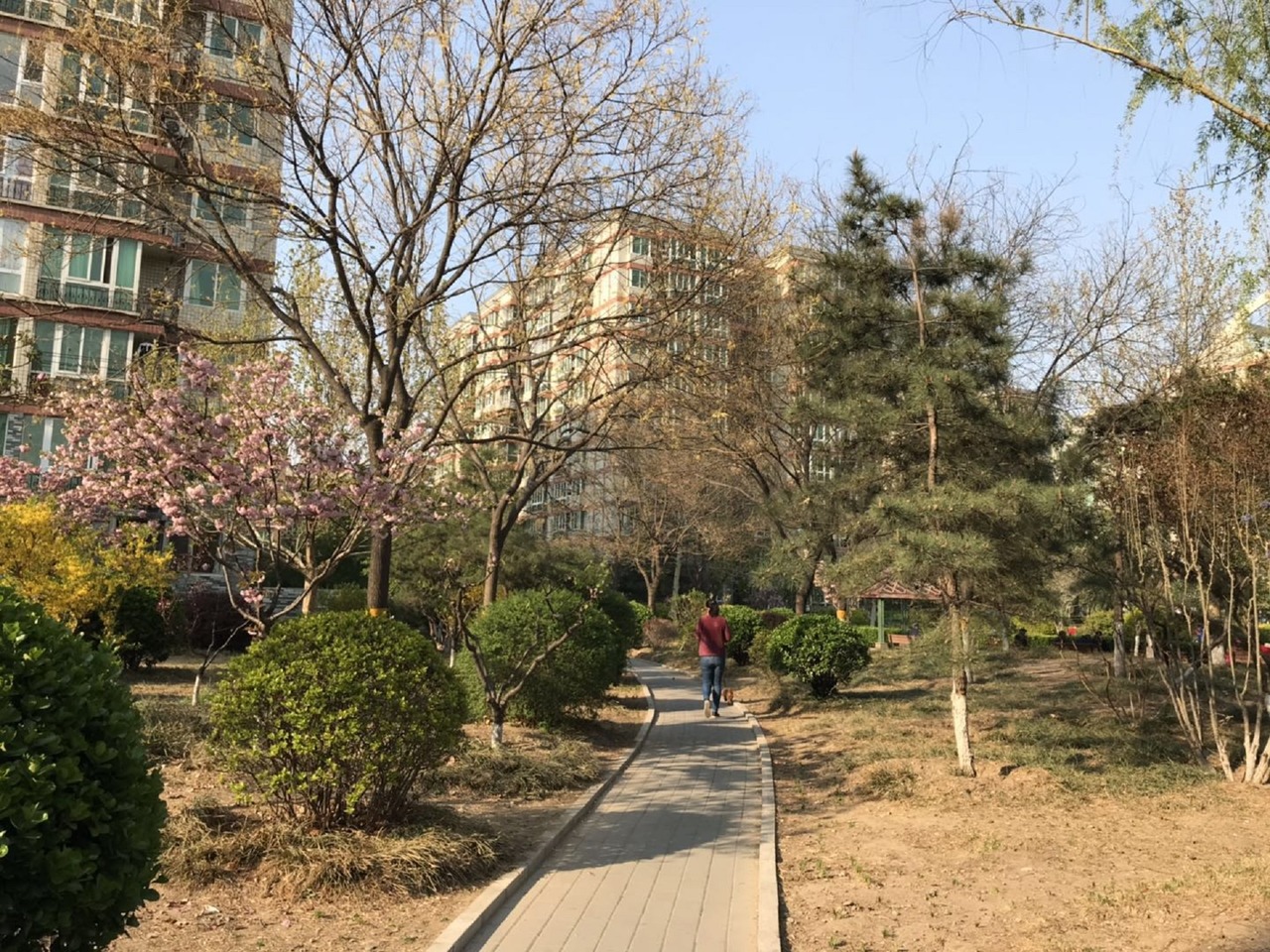北京烟树园二手房房源图片