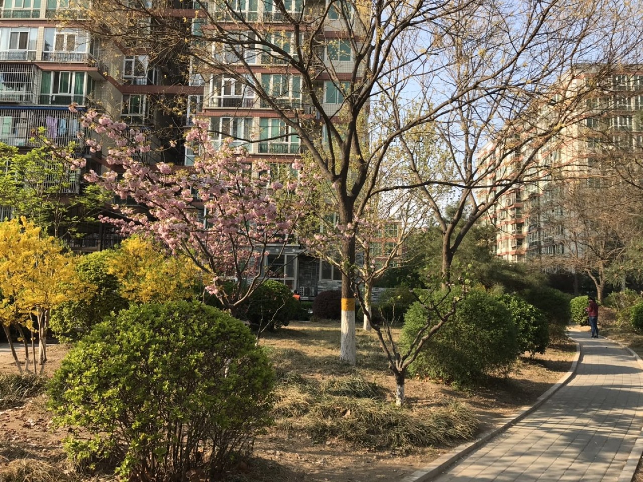 北京烟树园二手房房源图片