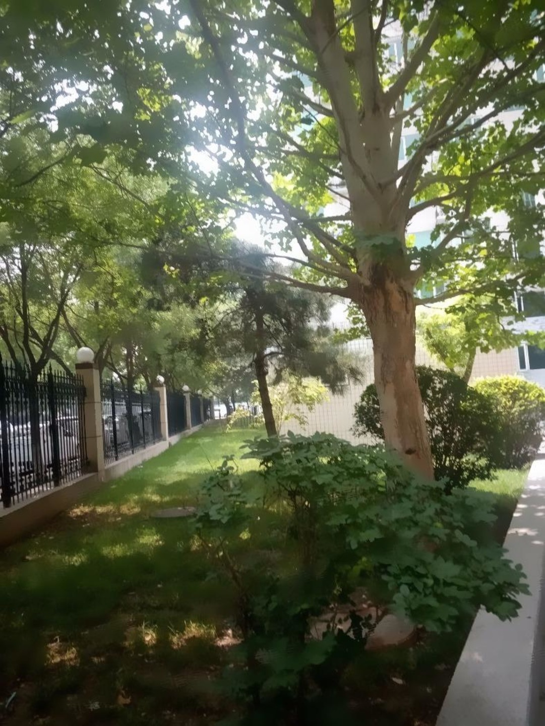 北京晴波园(蓝靛厂)二手房房源图片
