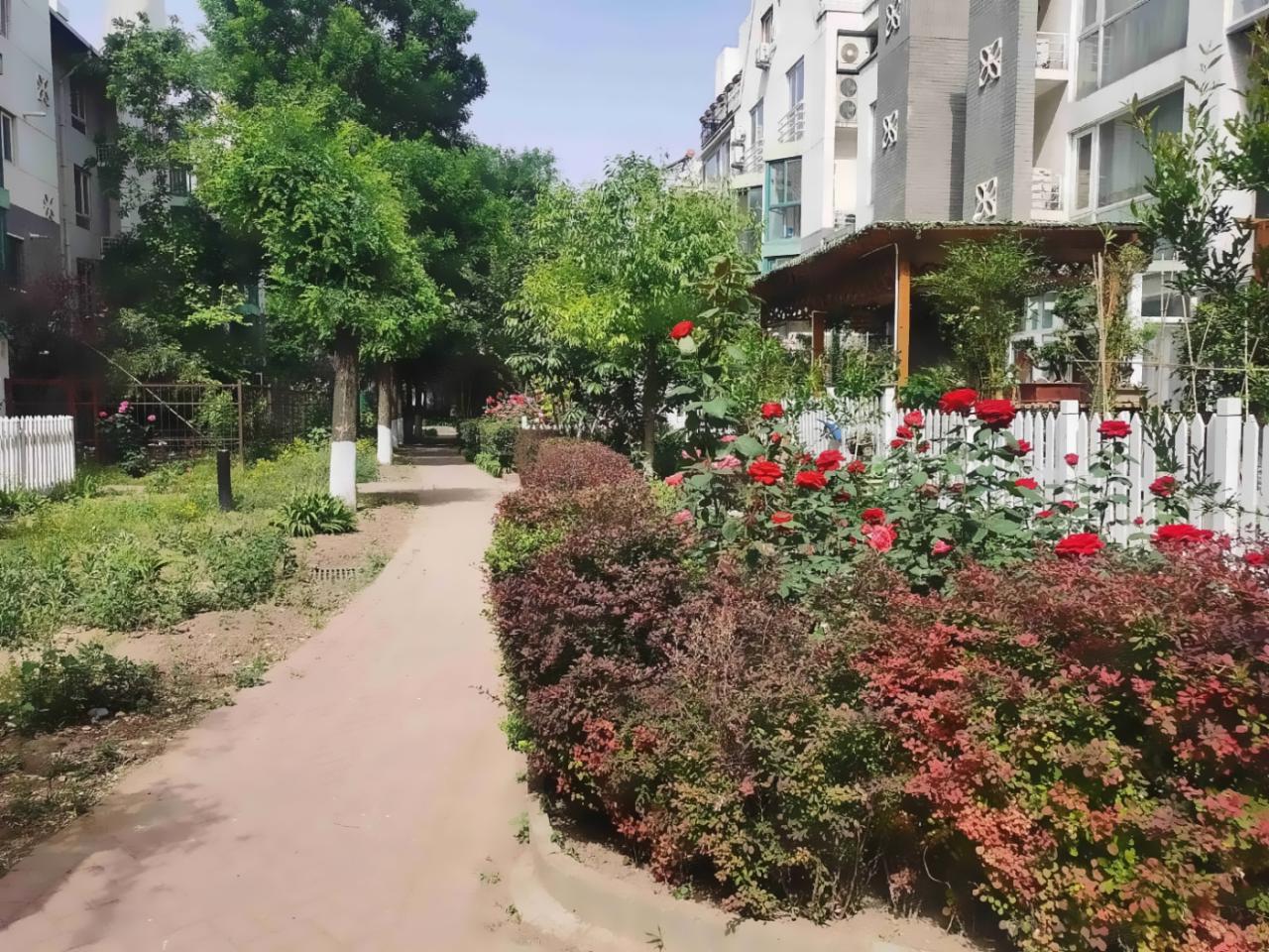 北京恋日绿岛小区二手房房源图片