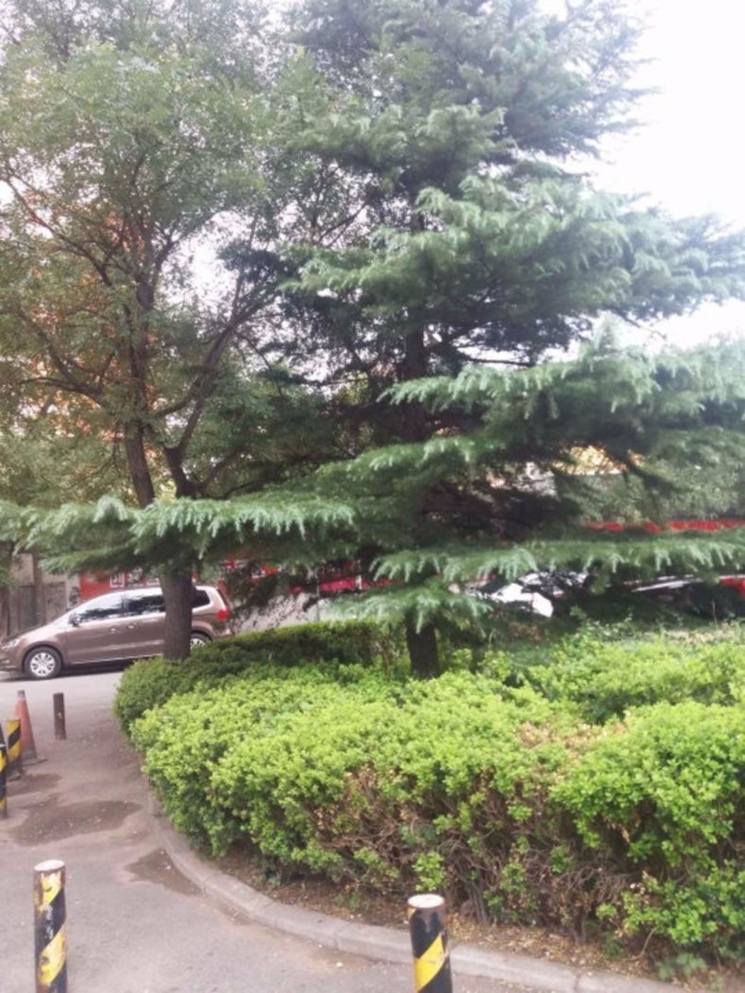北京程庄南里二手房房源图片