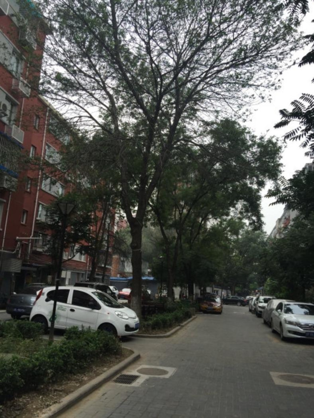 北京葡萄酒厂宿舍楼二手房房源图片